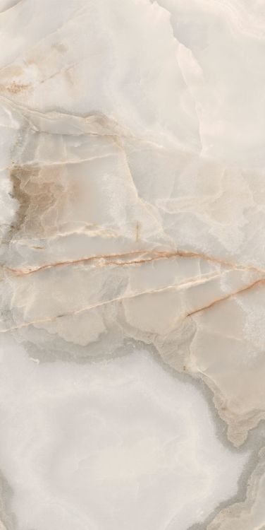 Reves Noisette Matte 24 x 48